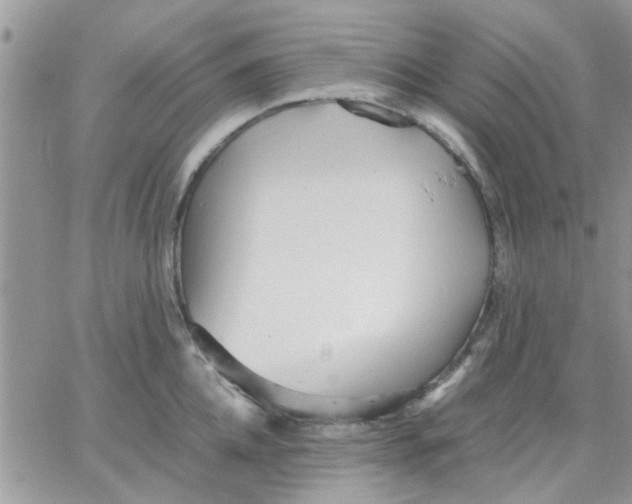 X0000066020952200603241532