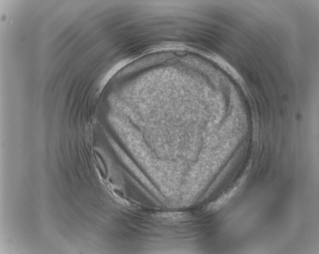 X0000066020953200603241532