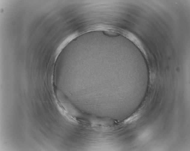 X0000066020954200603241532