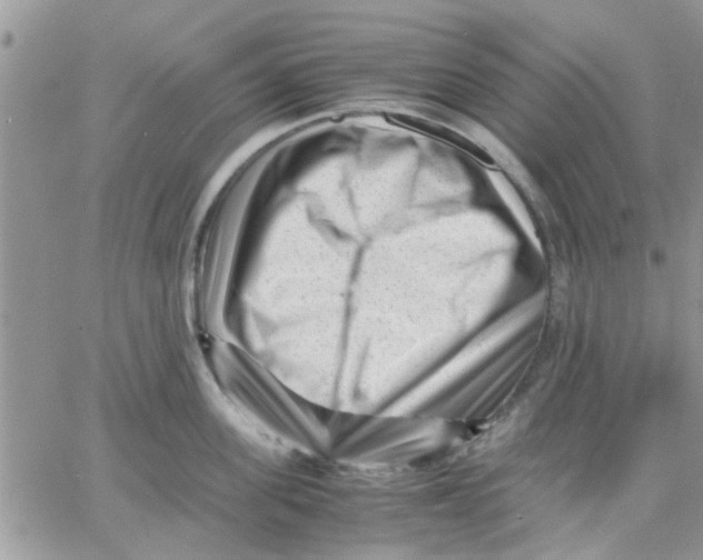 X0000066020955200603241532