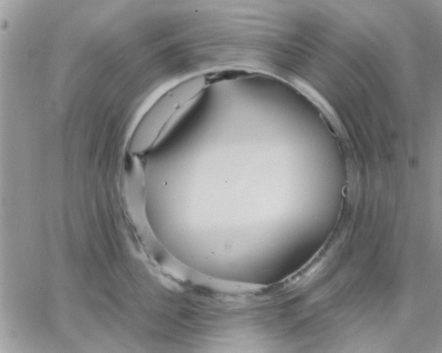 X0000066020956200603241532