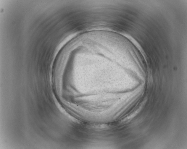 X0000066020957200603241532