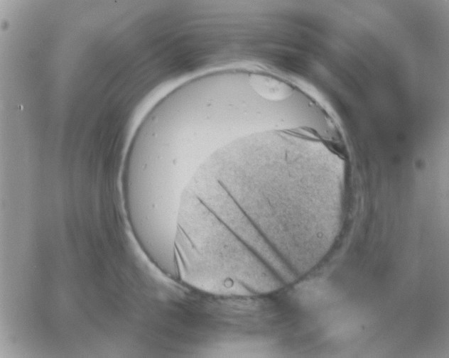 X0000066020959200603241532