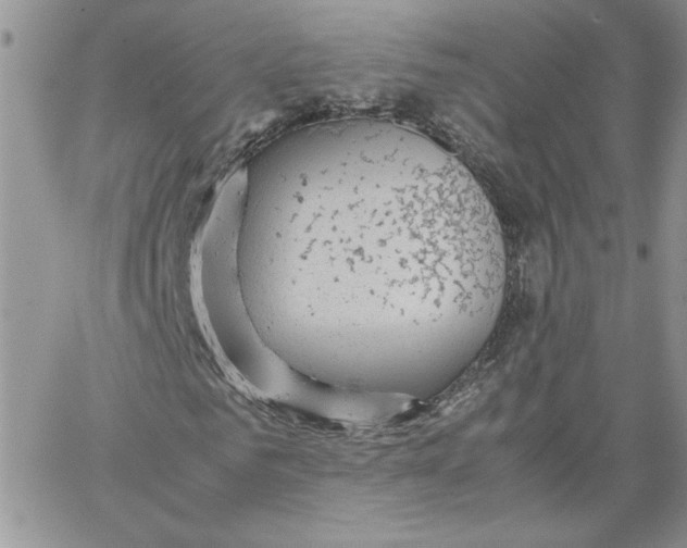 X0000066020961200603241531