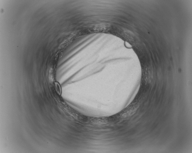 X0000066020962200603241531