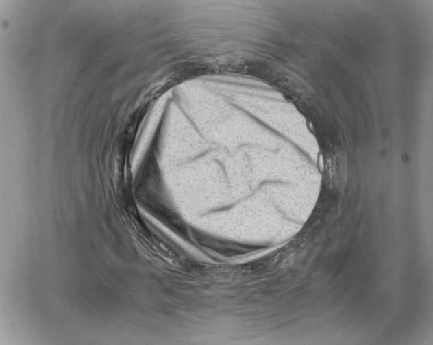 X0000066020963200603241531