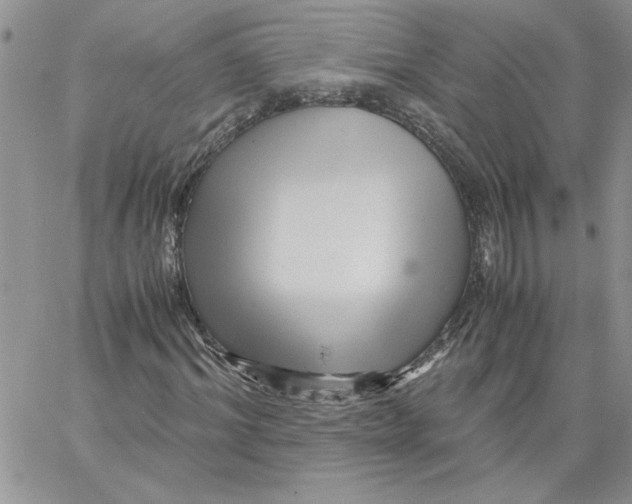 X0000066020964200603241531