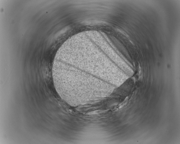 X0000066020966200603241531