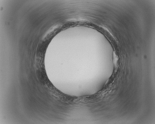 X0000066020967200603241531