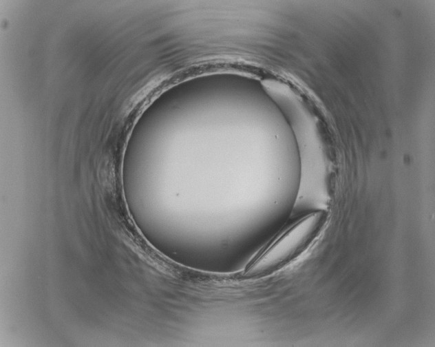 X0000066020969200603241531