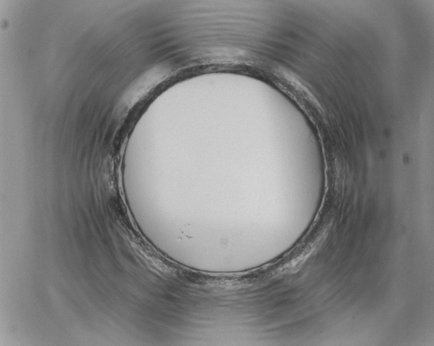 X0000066020970200603241531