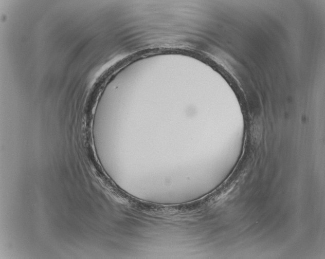 X0000066020971200603241531