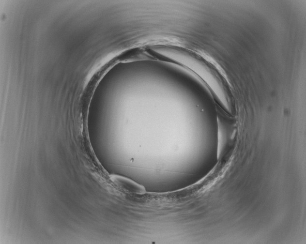 X0000066020973200603241531