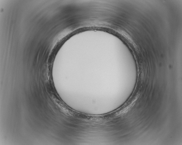 X0000066020974200603241531