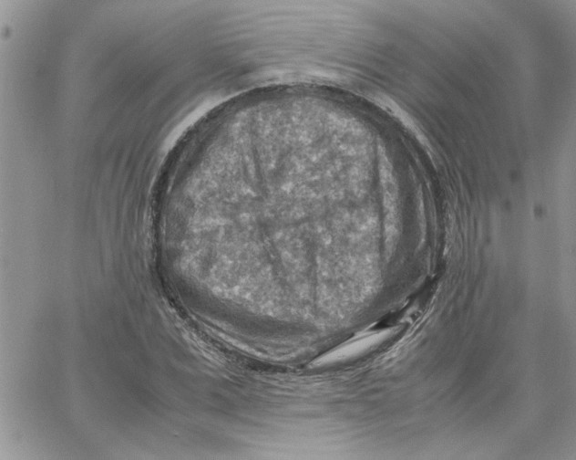 X0000066020975200603241531