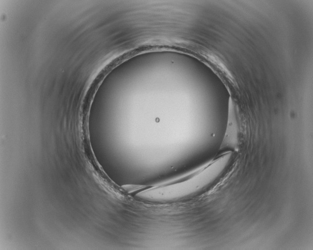 X0000066020976200603241531