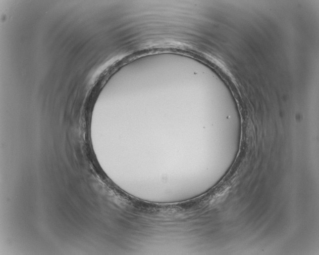 X0000066020979200603241531