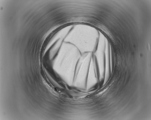 X0000066020980200603241531