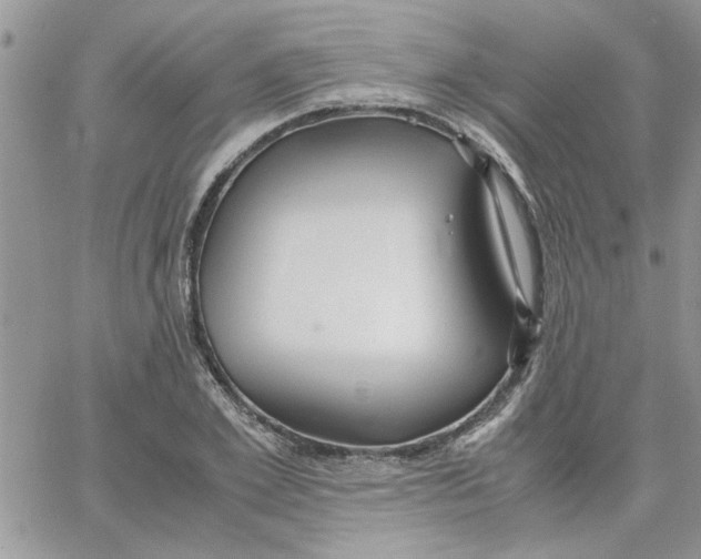 X0000066020981200603241531