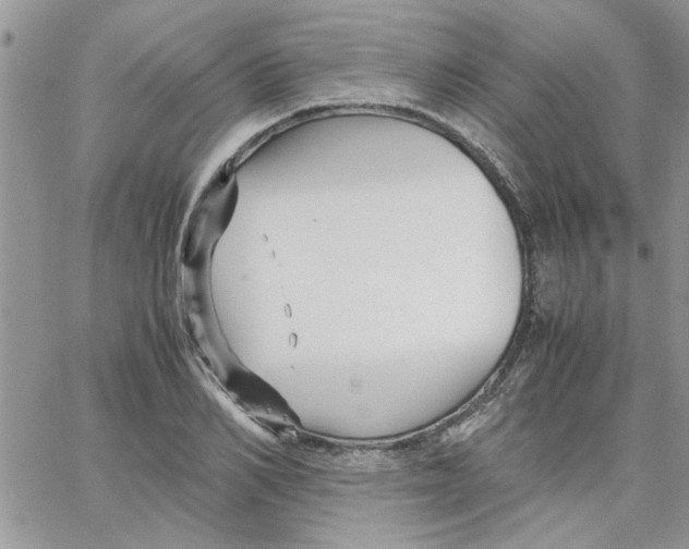 X0000066020982200603241531