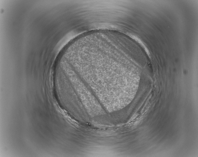 X0000066020983200603241531