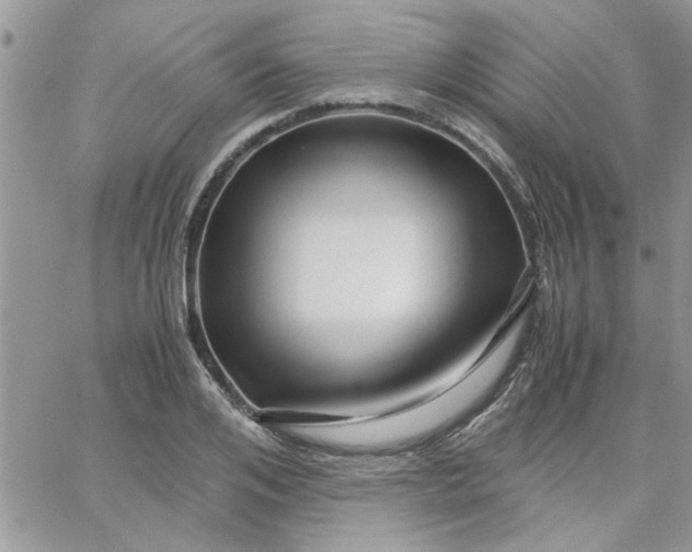 X0000066020984200603241531