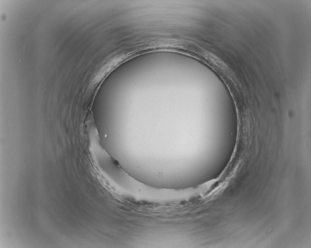 X0000066020985200603241531