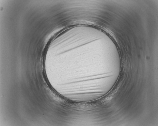 X0000066020987200603241531