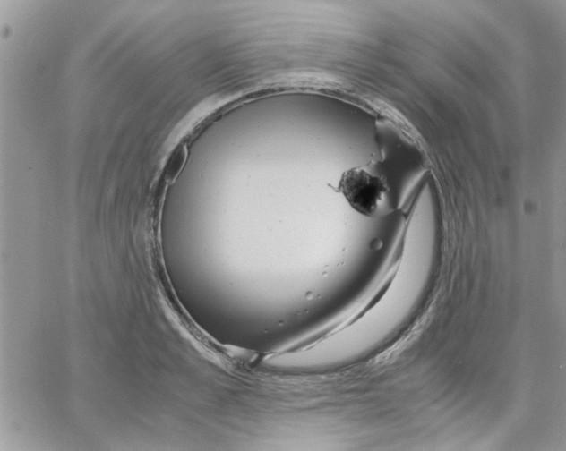 X0000066020989200603241531