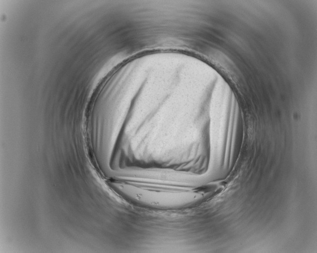 X0000066020990200603241531