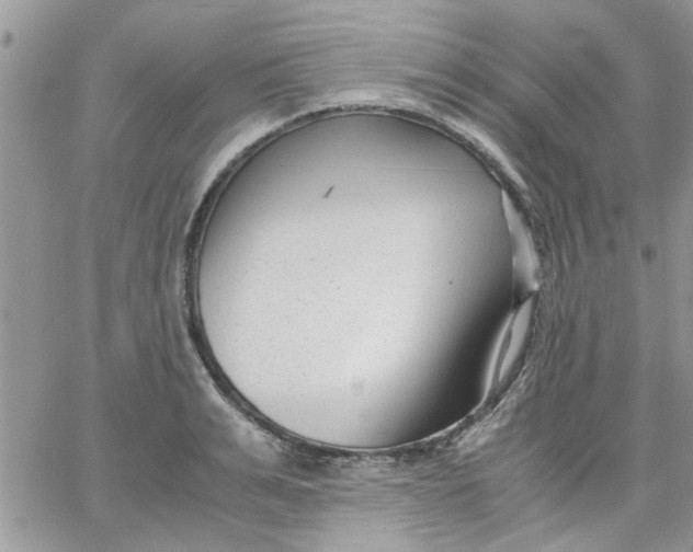 X0000066020991200603241531