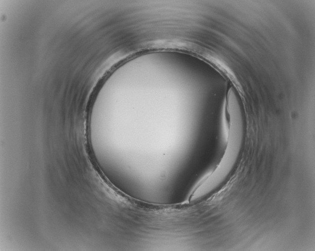 X0000066020992200603241531