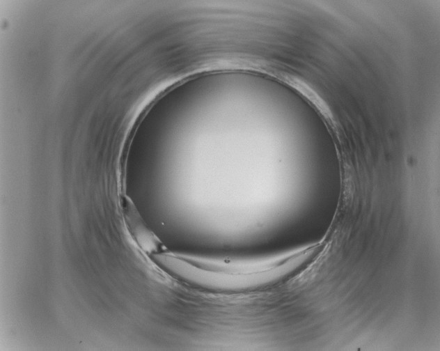 X0000066020996200603241531