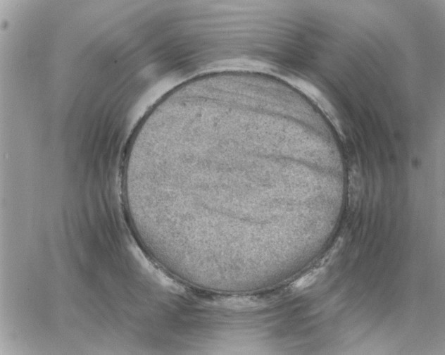 X0000066020998200603241530