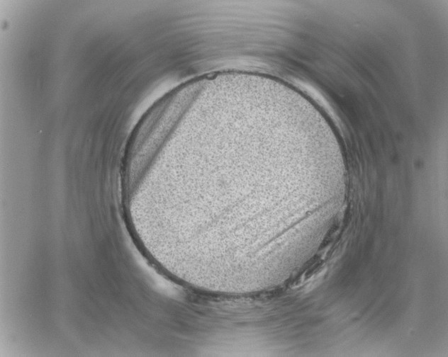 X0000066020999200603241530