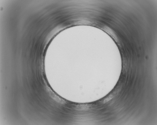 X0000066021000200603241530