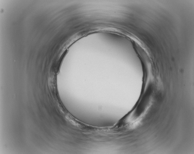 X0000066021001200603241530