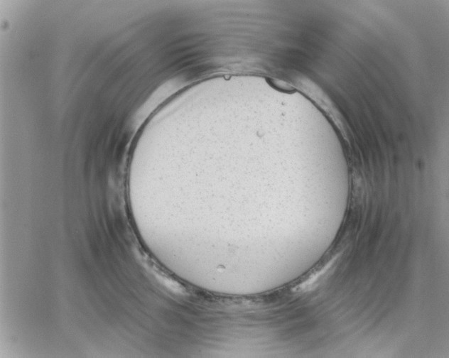 X0000066021002200603241530