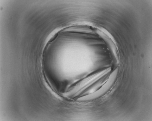 X0000066021005200603241530