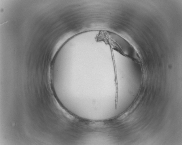 X0000066021006200603241530