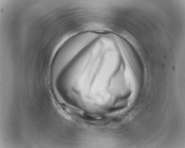 X0000066021008200603241530