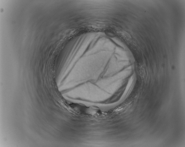 X0000066021009200603241529