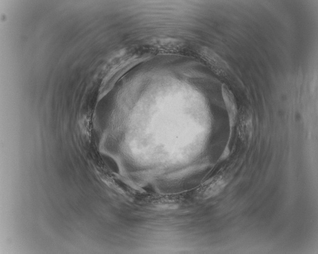 X0000066021010200603241529