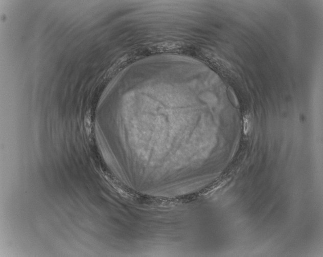 X0000066021011200603241529