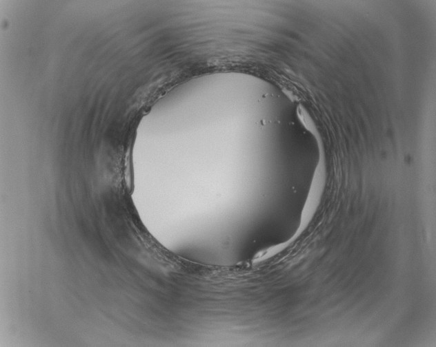 X0000066021012200603241529