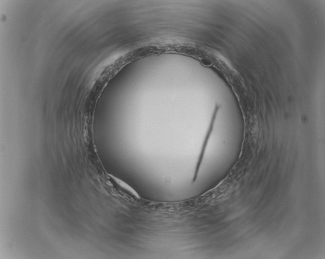 X0000066021016200603241530