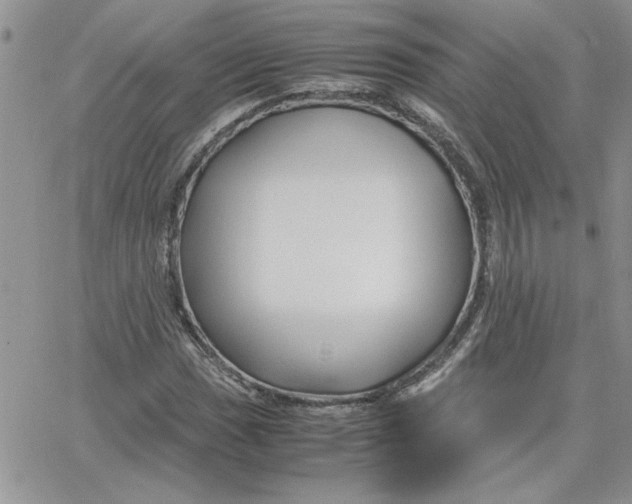 X0000066021017200603241530