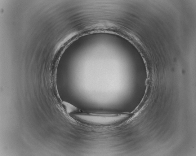 X0000066021018200603241530