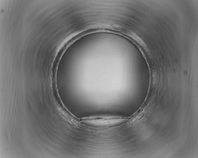 X0000066021020200603241530