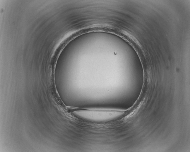 X0000066021021200603241530